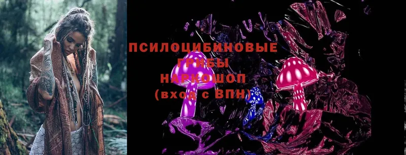 Галлюциногенные грибы Magic Shrooms  Грязи 